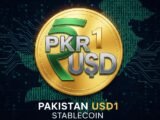 Pakistan Pilots USD1 Stablecoin for Payments